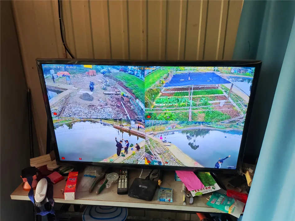 某鱼塘新增点位及整理线路