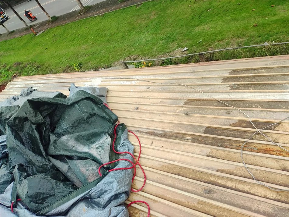 某鱼塘新增点位及整理线路