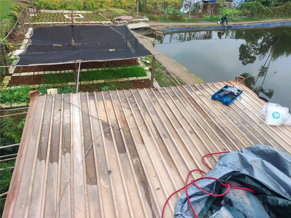 某鱼塘新增点位及整理线路